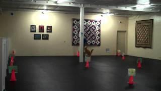 Cheri and Kobe - Rally Obedience Class