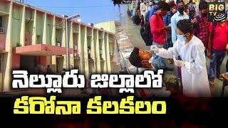 Coronavirus In Nellore |నెల్లూరు జిల్లాలో కరోనా కలకలం |BIGTV Telugu News Channel