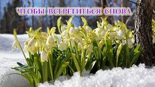 Чтобы встретиться снова - стихи Алексей Дубовской, читает Наташа Лучезара