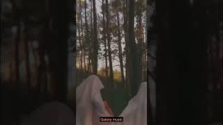 Send this to your best friend (Galaxy Music)