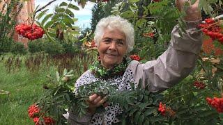 Внимание! Пропала пожилая женщина.