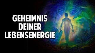 Das Geheimnis Deiner Lebensenergie - Wie Du mit Qi Gong Deine Gesundheit & Lebensfreude aktivierst