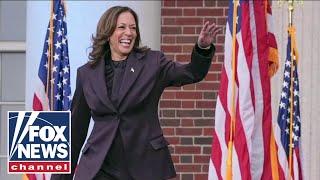 CNN analyst claims Harris lost because the media was not on her side