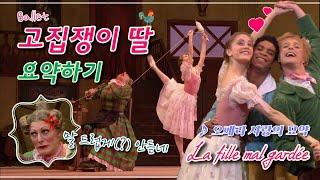  엄마말 안 듣는 금쪽이의 로맨틱 코미디, 고집쟁이 딸 | 발레, 요약하기 도니제티의 오페라, 사랑의 묘약