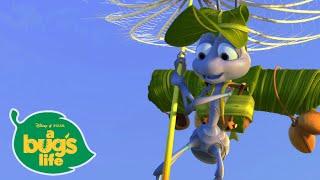 Flik vuela en diente de león | Bichos | Disney Junior Oficial