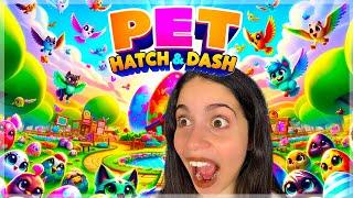 PET HATCH AND DASH LIVE