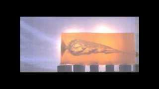 32NAA Hornady 85gr XTP vs. Ballistic Gelatin