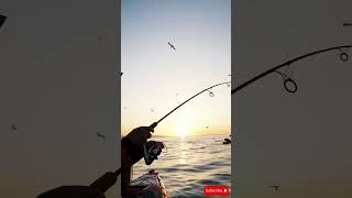 Fishing in Paradise – Sea, Sun, and Surprises! 