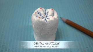 WAX PATTERN FABRICATION FOR FULL METAL CROWN