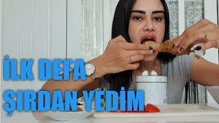 İLK DEFA ŞIRDAN YEDİM   MUKBANG