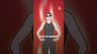 Why do divers shower after every dive?