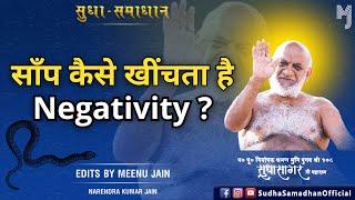 साँप कैसे खींचता है #negativity ? घर से नकारात्मक ऊर्जा कैसे दूर करें ?