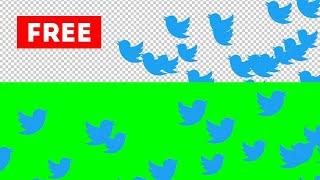 Twitter logo animation green screen, Transparent background | 3 animations free download