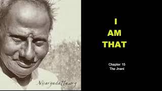 Chapter 15 - I Am That, Sri Nisargadatta Maharaj