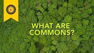 What are commons?