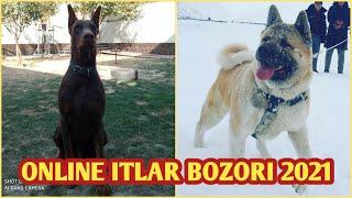 ONLINE ITLAR BOZORI 2021