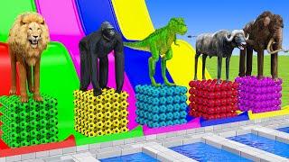 Long Slide Game With Elephant Gorilla Buffalo Hippopotamus Tiger - 3d Animal Game - Funny 3d Animals