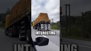 Ever wondered - Kangaroo style