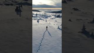 Lost in the white of the carpathians #solohiking #winterhiking #mountains #hikingroutes #snowshoeing