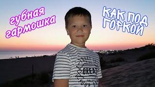 Разбор #2 / Губная гармошка / Как под горкой / Картошка / Баян TV