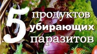 ТОП 5 Продуктов УБИРАЮЩИХ ПАРАЗИТОВ Навсегда! Как быстро вывести паразитов из организма.