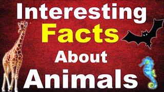 interesting facts about animals | most interesting gk | gk questions and answers | animals gk quiz