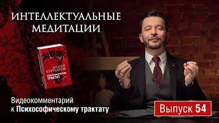 Интеллектуальные медитации. Видеокомментарий к Психософическому трактату: выпуск 54