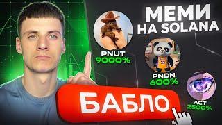 МЕМИ НА SOLANA і ЗАРОБІТОК НА НИХ! Pandana пресейл