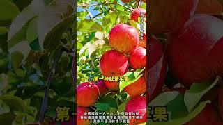#健康科普在快手  #中医  #脾胃专家李熙元