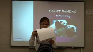 Alexis's Panda Report and Project Presentation