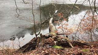 20 Sekunden Uckermark - Winterspaziergang