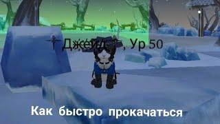 Как быстро прокачаться в Cat Simulator Animal Life!