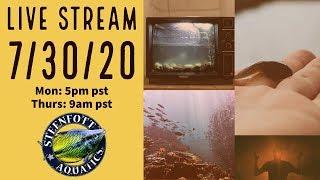 Steenfott Aquatics Morning Announcements - Releasing Top Secret Video