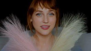 Feathers On Your Face Whisper Surrender (Sleep Hypnosis) | Resistance Countdown  | ASMR Whispering