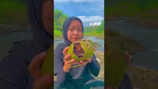 Makan buah black sapote disungai