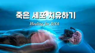 죽은세포 치유하기 영상(healing for DNA)