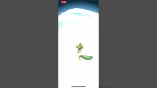 Pokémon GO - Treecko Evolution