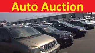 Wholesale Dealer Auto Auction Car Bidding Buying Auction Guide Preview
