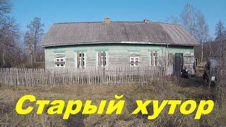 КУПИЛ ХУТОР в ЛЕСУ на краю БОЛОТА. Часть 26. Как изменился дом и участок спустя пять месяцев.