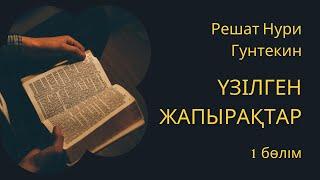 Решат Нури Гунтекин. Үзілген жапырақтар. 1 бөлім