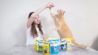 Temptations Cat Treats Review: Are Temptations Good for Cats?