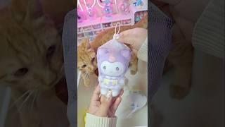 Kuromi vs Cat #sanrio #kuromi #cinnamoroll #hellokitty #cute #japan #shorts #asmr #fyp #kawaii