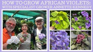 How to grow African violets with specialist grower Annette Kennedy!