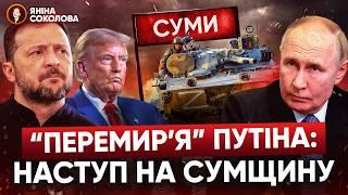 путін ПОГОДИВСЯ, але "є умови". Білорусь все. У москві вважають Трампа слабким