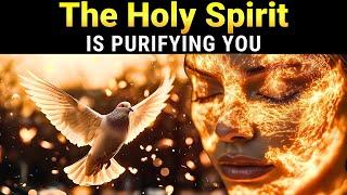 Discover How the Holy Spirit Is Purifying You: Do You Identify with This?