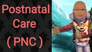 Postnatal Care ( PNC ) | PSM lecture | Community Medicine lecture | PSM made easy | PSM revision