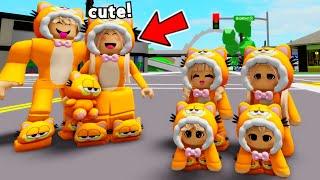 We COPY ODERS as QUADRUPLET PLUSHIES..(Brookhaven)