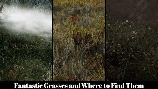 Skyrim LE Mods - Fantastic Grasses and Where to Find Them