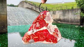 T-Bone STEAK = MONSTER Fish!!! (Near STATE RECORD!)