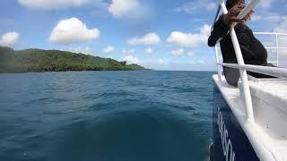 Fiji Shark dive ч9